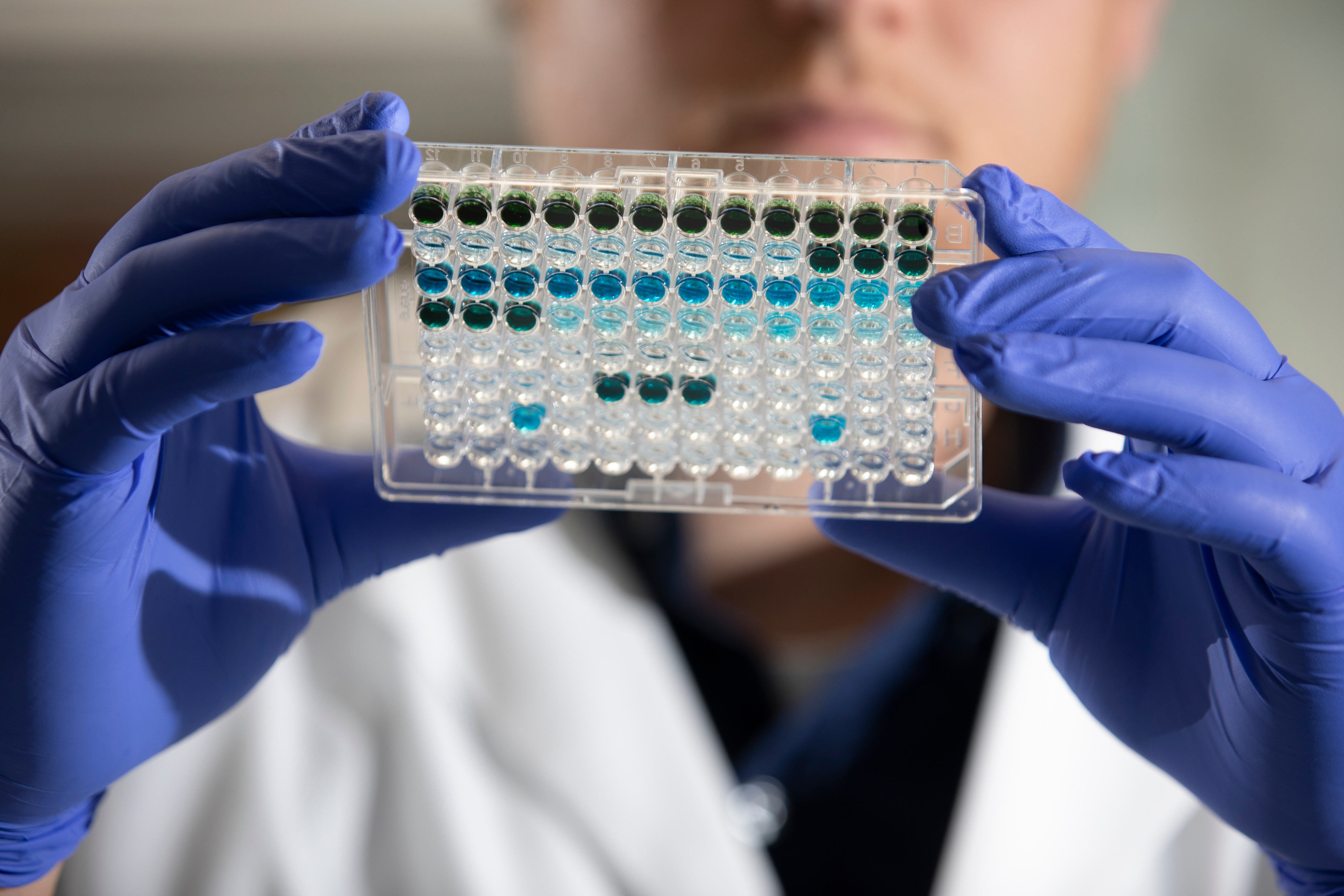 Student studying samples in a UKCOP lab