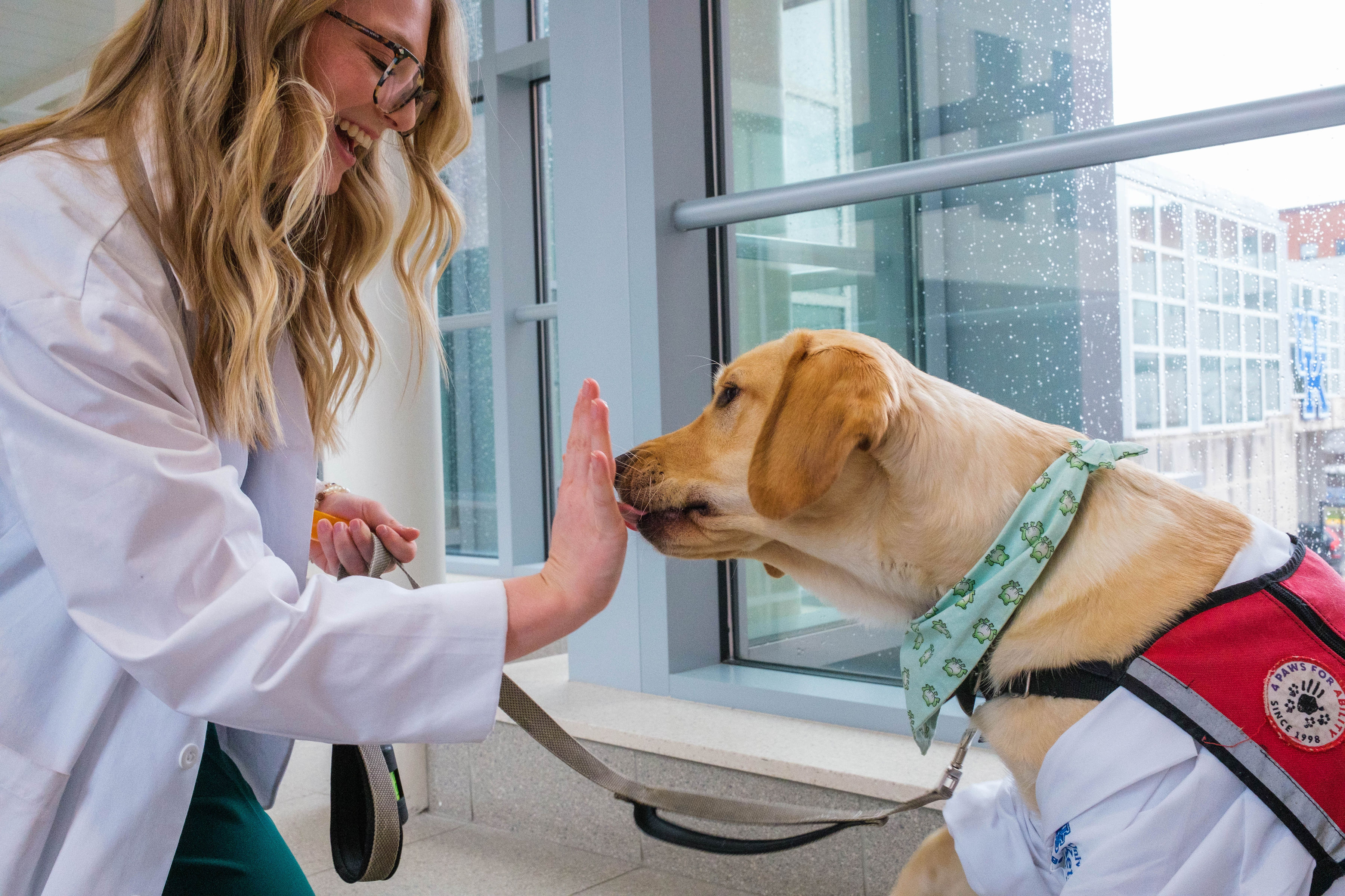 pharmacy student with palm up smiling, being licked by service dog