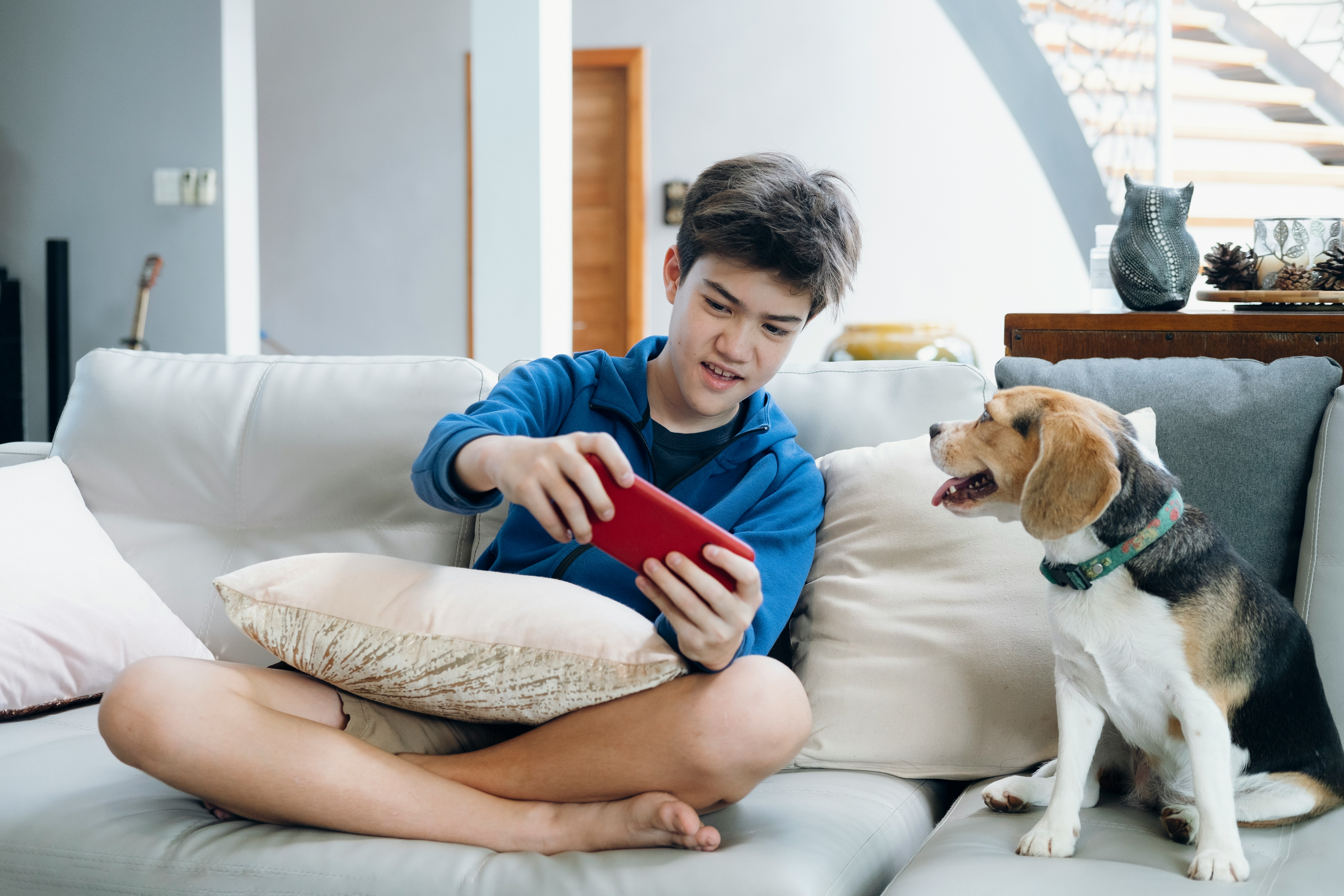 teen and dog sitting on couch looking at phone