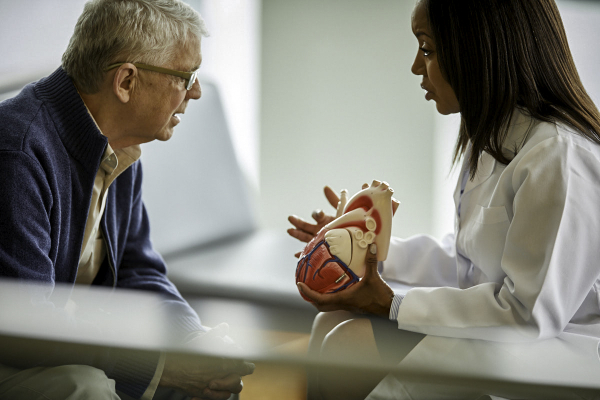 person in white coat holding model heart showing a patient