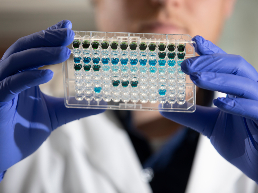 Student studying samples in a UKCOP lab