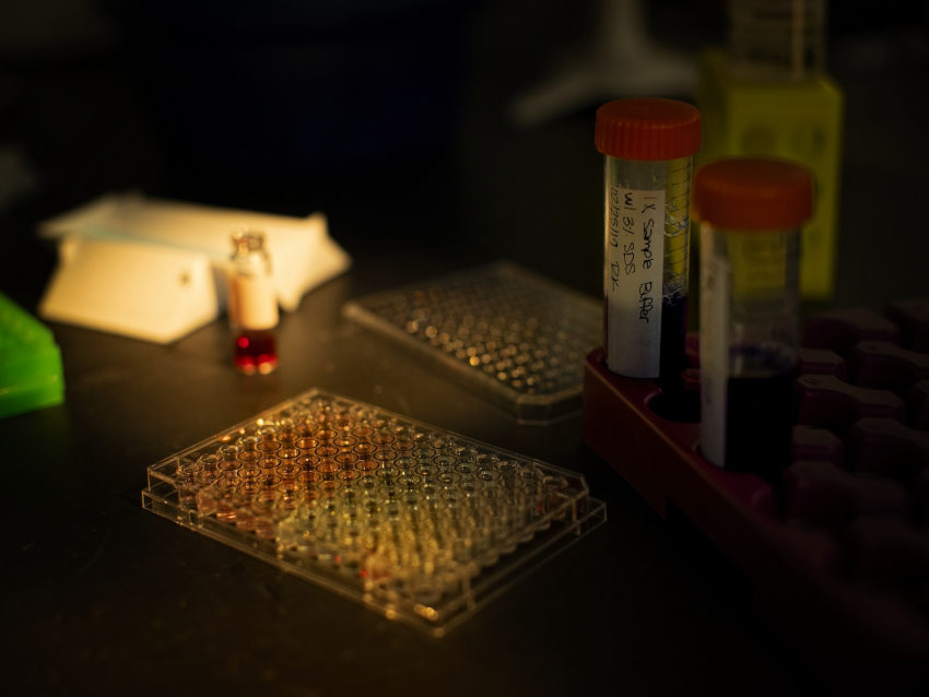 Spooky Pipette Tray