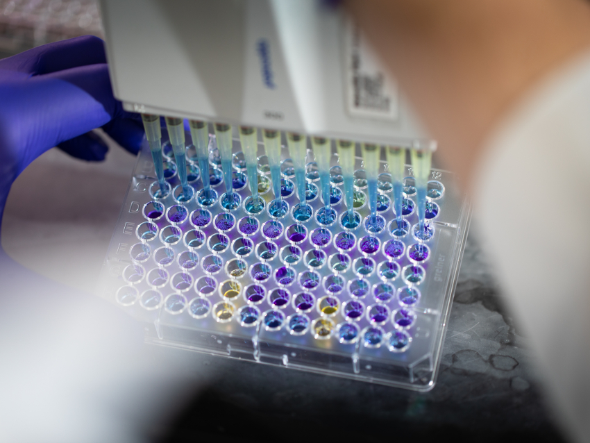 Gloved hands holding multicolor test tubes