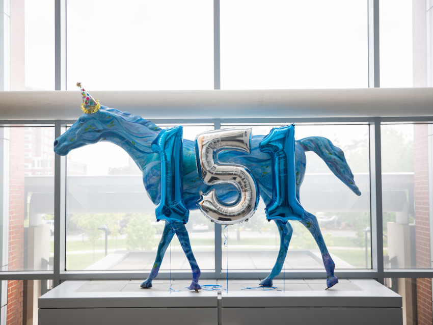 blue horse with 151