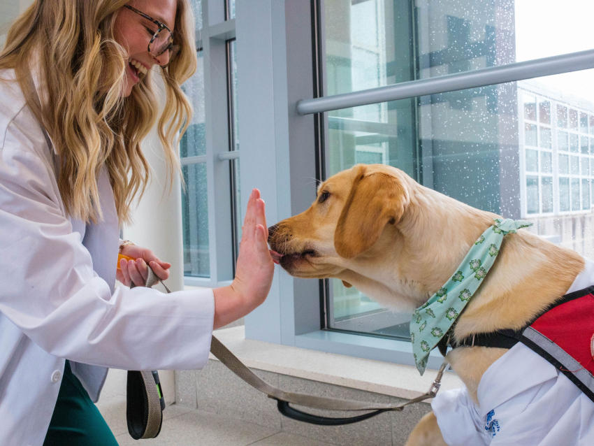 pharmacy student with palm up smiling, being licked by service dog