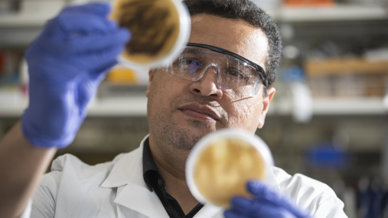 Man in lab holding petri dishes
