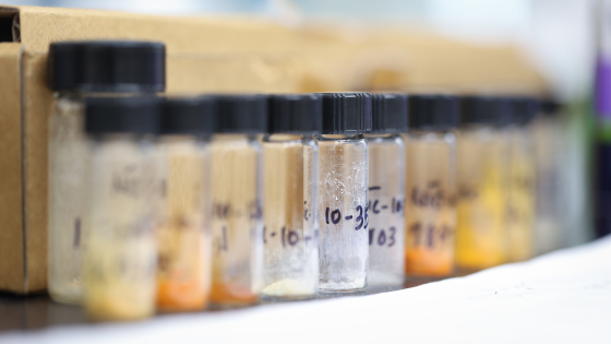 row of glass vials