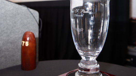 A photo of a glass award on a wooden stand next to a podium