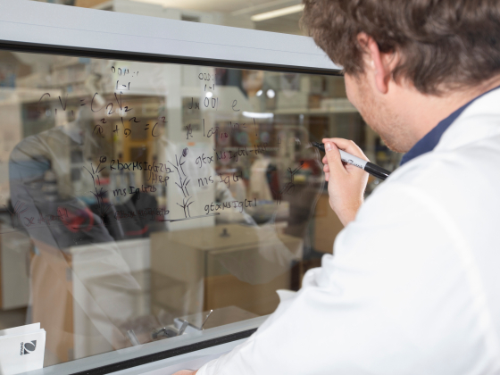 Student solving problems on a transparent board