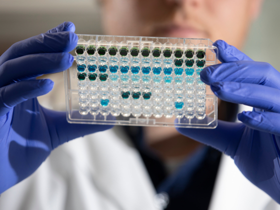 Student studying samples in research lab