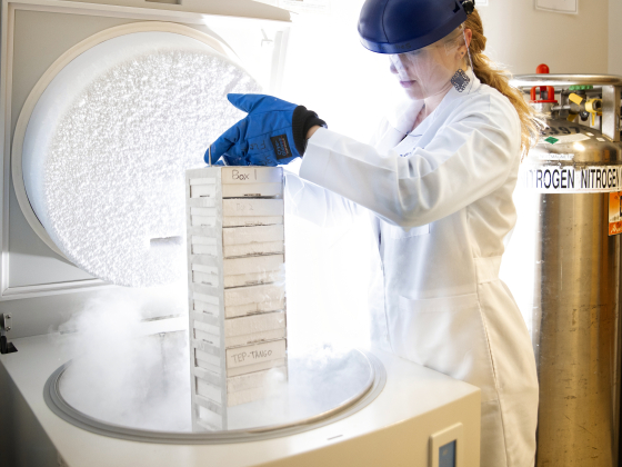 student with dry ice