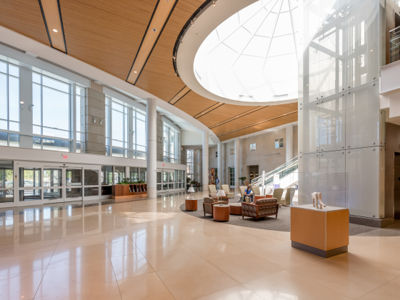 open atrium with light coming through windows