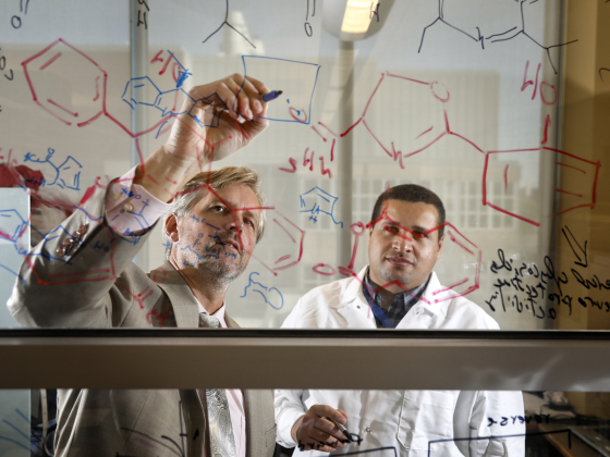 jon thorson drawing cell diagrams on window