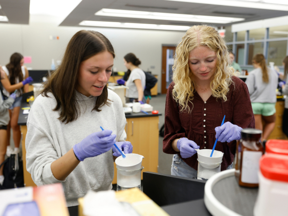 undergraduate students compounding in the lab